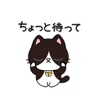 リオ猫（個別スタンプ：31）