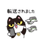 リオ猫（個別スタンプ：37）