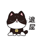 リオ猫（個別スタンプ：39）