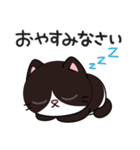 リオ猫（個別スタンプ：40）