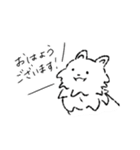 ポメラニアン たびちゃん（個別スタンプ：2）