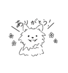 ポメラニアン たびちゃん（個別スタンプ：7）