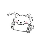 ポメラニアン たびちゃん（個別スタンプ：21）