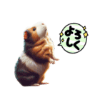 モルモッちゅ（個別スタンプ：3）