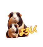 モルモッちゅ（個別スタンプ：13）
