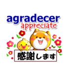 スペイン語,日本語,英語 連絡用 コタとピヨ（個別スタンプ：8）