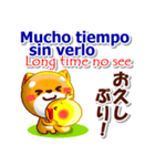 スペイン語,日本語,英語 連絡用 コタとピヨ（個別スタンプ：12）