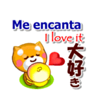 スペイン語,日本語,英語 連絡用 コタとピヨ（個別スタンプ：31）