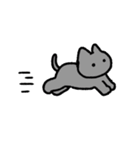 くまさんとねこスタンプ（個別スタンプ：20）