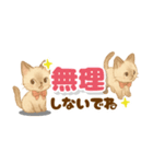 心に寄り添うシャム猫♪デカ文字（個別スタンプ：2）