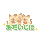心に寄り添うシャム猫♪デカ文字（個別スタンプ：6）