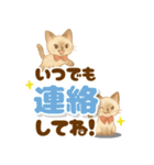 心に寄り添うシャム猫♪デカ文字（個別スタンプ：14）
