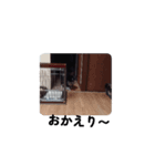 動く球野丿スタンプ2（個別スタンプ：2）