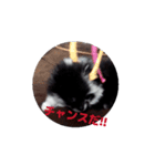 動く球野丿スタンプ2（個別スタンプ：15）