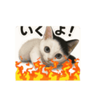 100000ps（個別スタンプ：2）