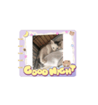 100000ps（個別スタンプ：3）