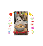 100000ps（個別スタンプ：5）