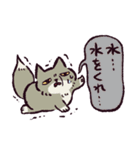 猛暑に抗うチベットスナギツネ（個別スタンプ：5）