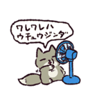 猛暑に抗うチベットスナギツネ（個別スタンプ：39）