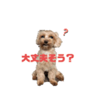 なぐもとぽよ助MIX（個別スタンプ：16）