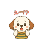 もふもふ犬ペチの毎日スタンプ（個別スタンプ：10）