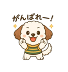 もふもふ犬ペチの毎日スタンプ（個別スタンプ：11）
