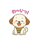 もふもふ犬ペチの毎日スタンプ（個別スタンプ：19）