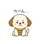 もふもふ犬ペチの毎日スタンプ（個別スタンプ：21）