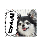 祐靜くん（個別スタンプ：4）