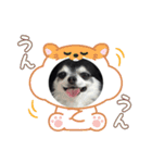 祐靜くん（個別スタンプ：7）