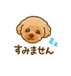 トイプードルのぷぅちゃんです（個別スタンプ：6）
