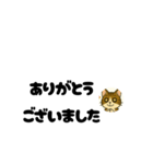 じんちゃん-きじ猫（個別スタンプ：2）