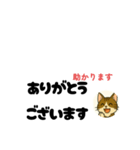じんちゃん-きじ猫（個別スタンプ：4）