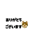 じんちゃん-きじ猫（個別スタンプ：5）