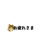 じんちゃん-きじ猫（個別スタンプ：7）