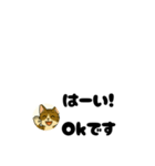 じんちゃん-きじ猫（個別スタンプ：11）