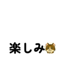 じんちゃん-きじ猫（個別スタンプ：19）