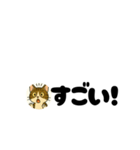 じんちゃん-きじ猫（個別スタンプ：24）