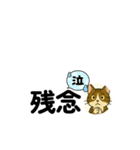 じんちゃん-きじ猫（個別スタンプ：25）