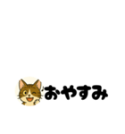 じんちゃん-きじ猫（個別スタンプ：27）