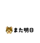 じんちゃん-きじ猫（個別スタンプ：30）