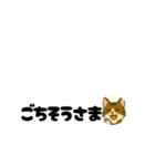 じんちゃん-きじ猫（個別スタンプ：33）