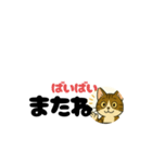 じんちゃん-きじ猫（個別スタンプ：35）