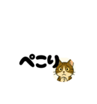 じんちゃん-きじ猫（個別スタンプ：38）