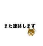じんちゃん-きじ猫（個別スタンプ：39）