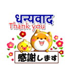 ネパール語,英語,日本語.コタとピヨ（個別スタンプ：8）