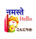 ネパール語,英語,日本語.コタとピヨ（個別スタンプ：9）