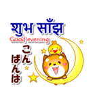 ネパール語,英語,日本語.コタとピヨ（個別スタンプ：11）