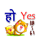 ネパール語,英語,日本語.コタとピヨ（個別スタンプ：13）