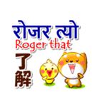 ネパール語,英語,日本語.コタとピヨ（個別スタンプ：14）